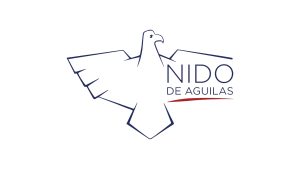THE International School Nido DE Aguilas